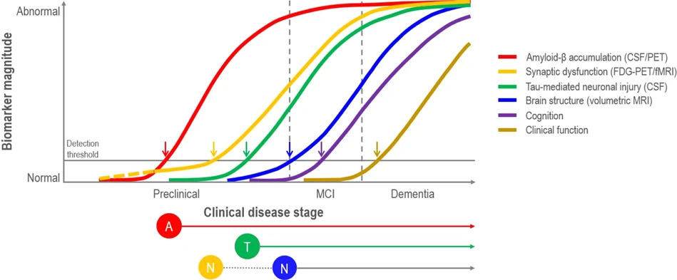 amyloid beta alzheimer curve