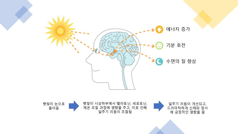 광 치료 기전